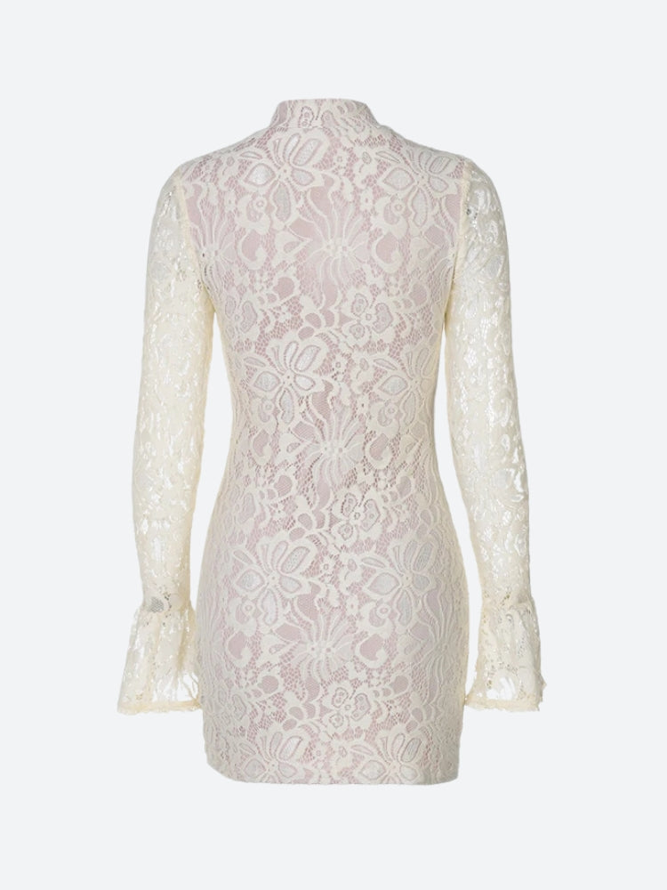 Lace Cut Out Mini Dress