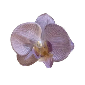 Tropical Orchid Hair Clip